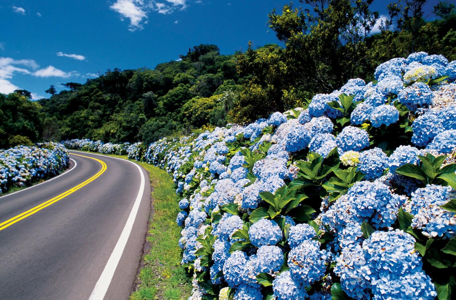 6 rotas para viajar de carro no Brasil